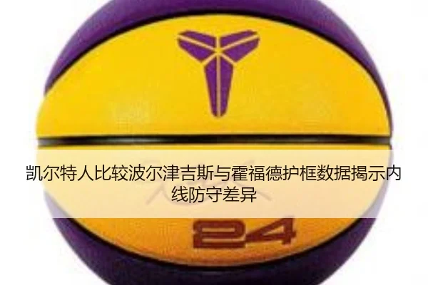 凯尔特人比较波尔津吉斯与霍福德护框数据揭示内线防守差异
